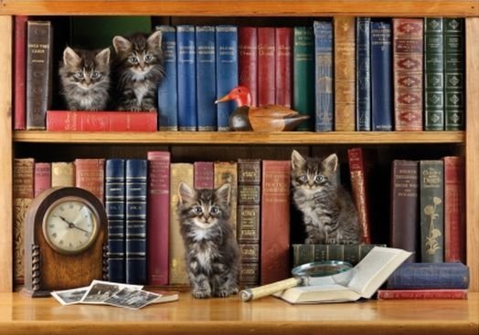 Image 1 of Puss In Books Animal Themed Mega Wooden Jigsaw Puzzle 500 Pieces