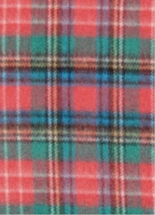 Image 2 of Christie Ancient Tartan Cashmere Fringed Scarf