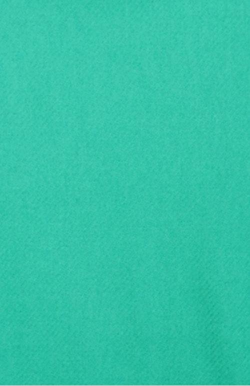 Image 2 of Aqua Turquoise Solid Lambswool Fringed Scarf