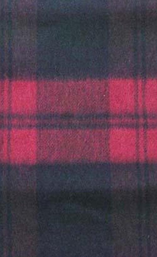 Image 2 of Lindsay Tartan Cashmere Fringed Scarf