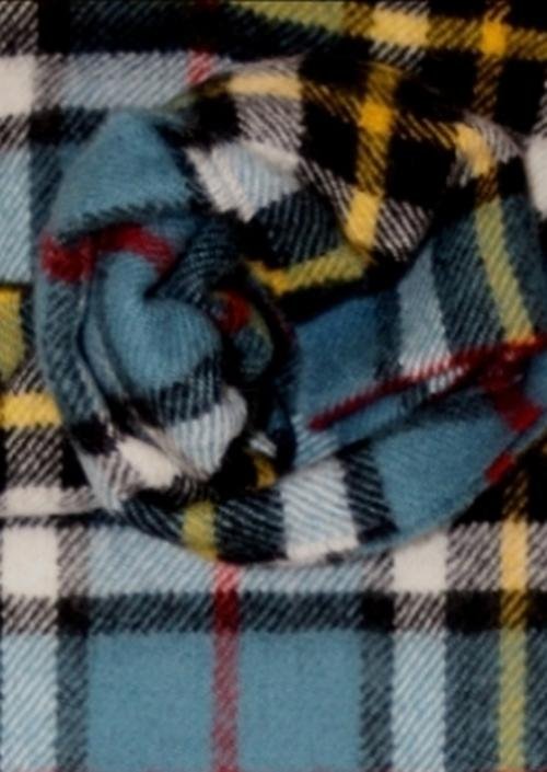 Image 3 of Thomson Blue Clan Tartan Lambswool Fringed Scarf
