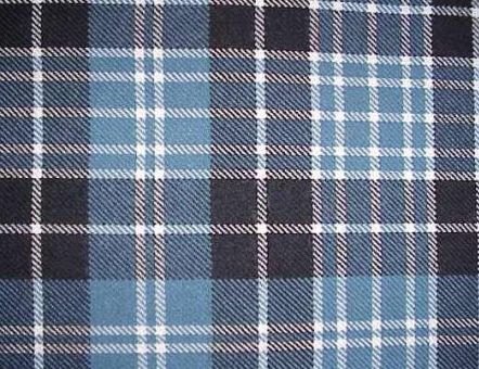 Image 1 of Clark Ancient Tartan Polyviscose Plaid Fabric Swatch  