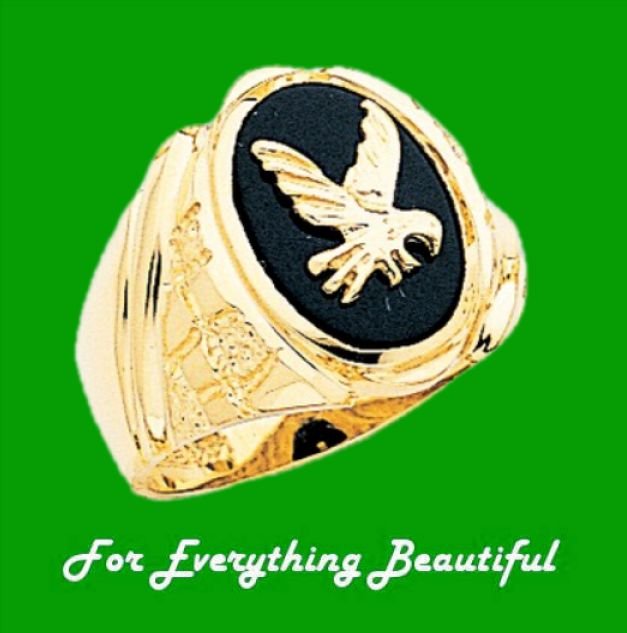 Image 0 of Gold Eagle Black Onyx Oval Polished 14K Yellow Gold Band Ring
