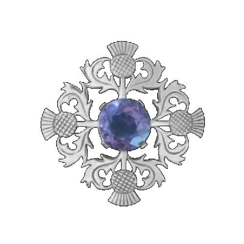 Image 1 of Thistle Amethyst Antiqued Large Sterling Silver Brooch