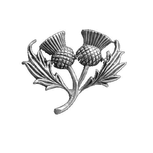 Image 1 of Thistle Double Flower Head Antiqued Large Sterling Silver Brooch