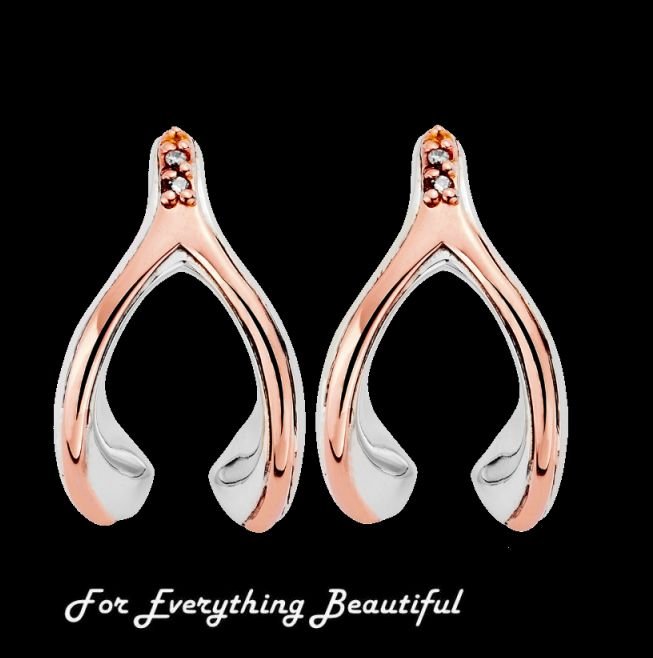 Image 0 of Wishbone Diamond Welsh Rose Gold Detail Stud Sterling Silver Earrings