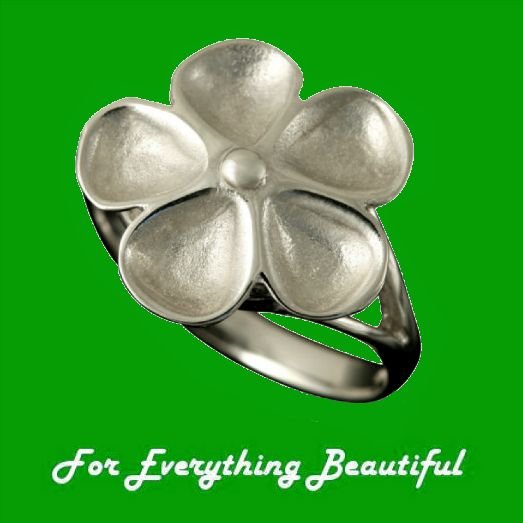 Image 0 of Kokkaloorie Daisy Design Enamel Ladies Platinum Ring Sizes A-Q