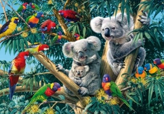 Image 1 of Koala Outback Animal Themed Mega Wooden Jigsaw Puzzle 500 Pieces