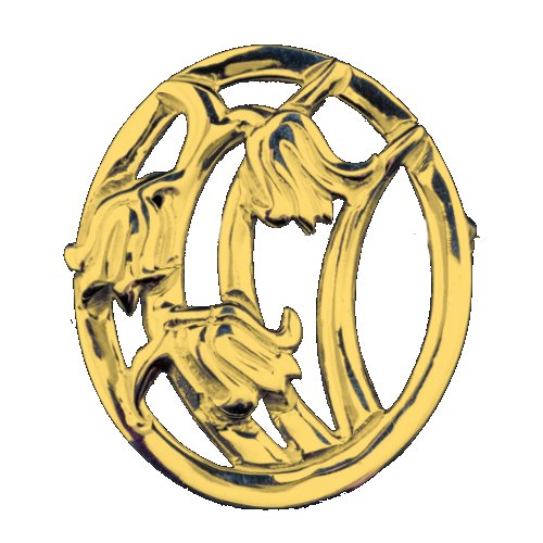 Image 1 of Scottish Bluebells Oval Design Medium 9K Yellow Gold Brooch