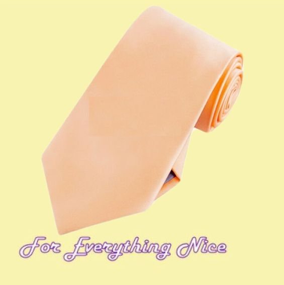 Image 0 of Apricot Peach Formal Groomsmen Groom Wedding Straight Mens Neck Tie 