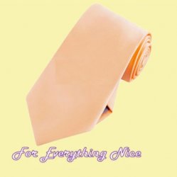 Apricot Peach Formal Groomsmen Groom Wedding Straight Mens Neck Tie 