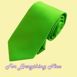 Apple Green Formal Groomsmen Groom Wedding Straight Mens Neck Tie 