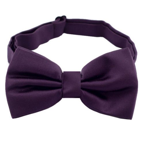 Image 1 of Eggplant Purple Formal Groomsmen Groom Wedding Mens Neck Bow Tie 