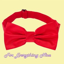 Cherry Red Formal Groomsmen Groom Wedding Mens Neck Bow Tie 