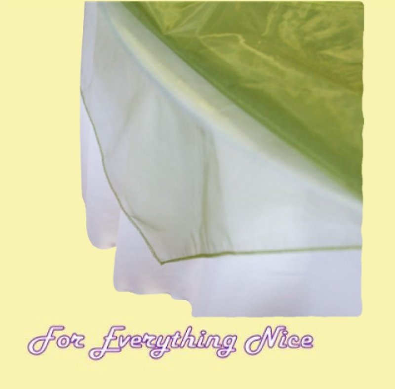 Image 0 of Sage Green Organza Table Overlay Decorations 60 inches x 25