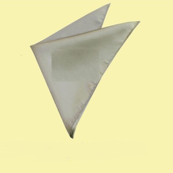 Image 0 of Platinum Formal Groomsmen Groom Wedding Mens Pocket Square 