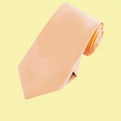 Apricot Peach Formal Boys Ages 7-13 Wedding Straight Boys Neck Tie 