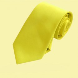 Daffodil Canary Yellow Formal Boys Ages 7-13 Wedding Straight Boys Neck Tie 