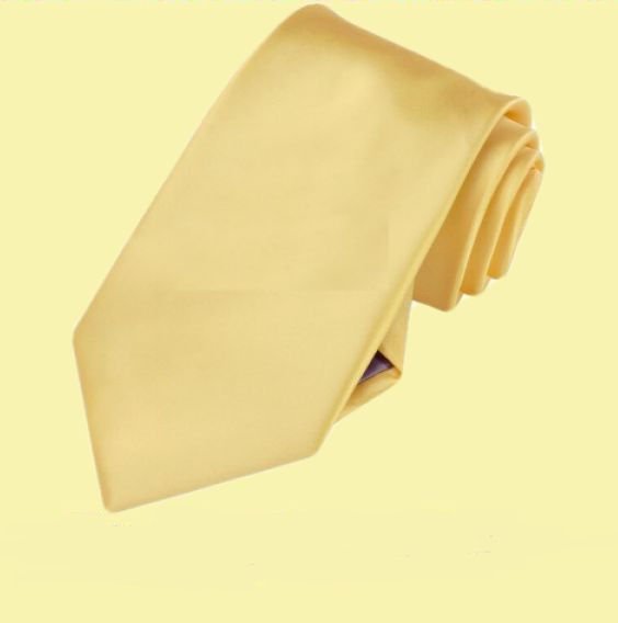 Image 0 of Light Gold Formal Boys Ages 7-13 Wedding Straight Boys Neck Tie 