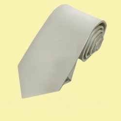 Platinum Formal Boys Ages 7-13 Wedding Straight Boys Neck Tie 