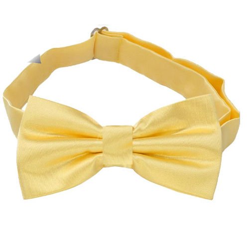 Image 1 of Light Gold Boys Ages 1-7 Wedding Boys Neck Bow Tie 