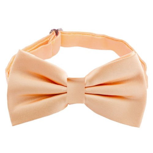 Image 1 of Apricot Peach Boys Ages 1-7 Wedding Boys Neck Bow Tie 