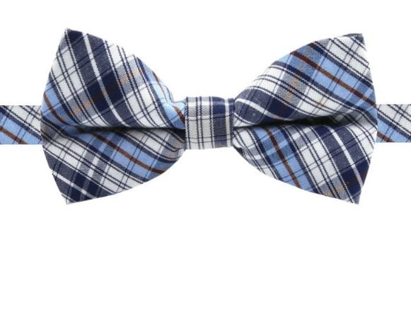 Image 1 of Blue White Brown Check Boys Ages 1-7 Wedding Boys Neck Bow Tie 