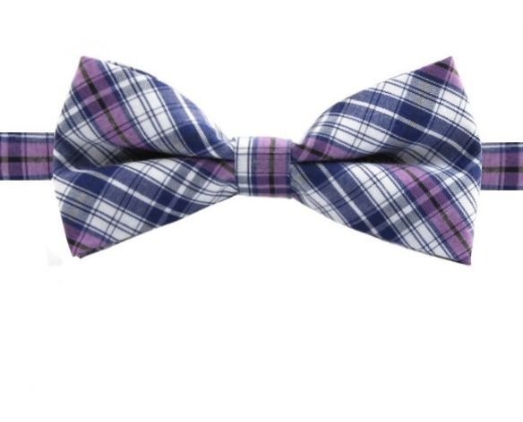 Image 1 of Blue White Violet Check Boys Ages 1-7 Wedding Boys Neck Bow Tie 