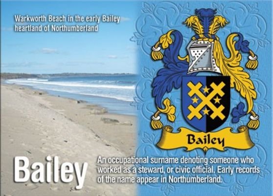 Image 1 of Bailey Coat of Arms English Family Name Fridge Magnets Set of 10