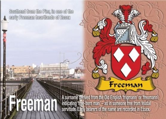Image 1 of Freeman Coat of Arms English Family Name Fridge Magnets Set of 2