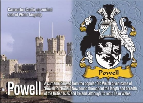 Image 1 of Powell Coat of Arms English Family Name Fridge Magnets Set of 10