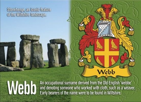 Image 1 of Webb Coat of Arms English Family Name Fridge Magnets Set of 2