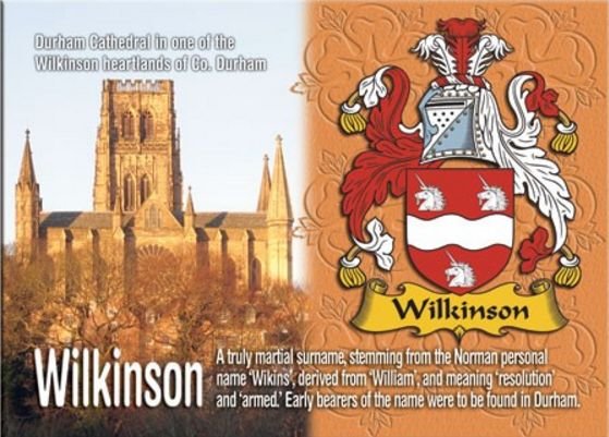 Image 1 of Wilkinson Coat of Arms English Family Name Fridge Magnets Set of 4