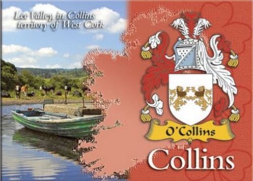 Image 1 of Collins Coat of Arms Irish Family Name Fridge Magnets Set of 10