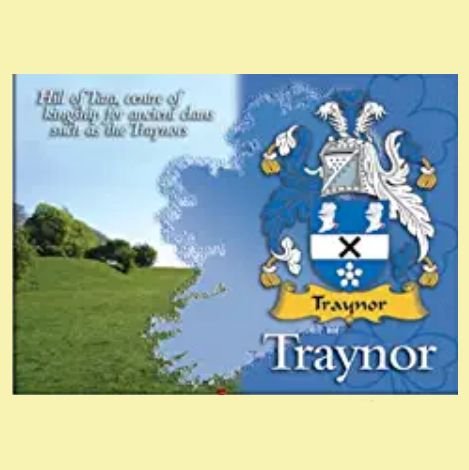 Image 0 of Traynor Coat of Arms Irish Family Name Fridge Magnets Set of 4