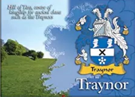 Image 1 of Traynor Coat of Arms Irish Family Name Fridge Magnets Set of 4