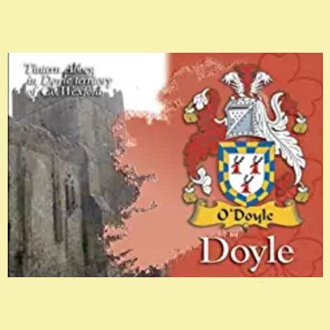 Image 0 of Doyle Coat of Arms Irish Family Name Fridge Magnets Set of 2