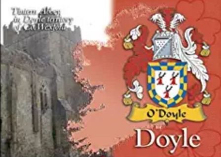 Image 1 of Doyle Coat of Arms Irish Family Name Fridge Magnets Set of 2