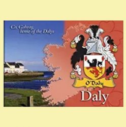 Daly Coat of Arms Irish Family Name Fridge Magnets Set of 2