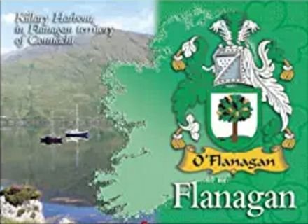 Image 1 of Flanagan Coat of Arms Irish Family Name Fridge Magnets Set of 4