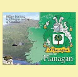 Flanagan Coat of Arms Irish Family Name Fridge Magnets Set of 10