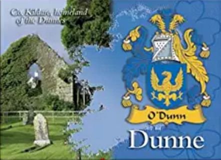 Image 1 of Dunne Coat of Arms Irish Family Name Fridge Magnets Set of 2
