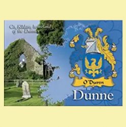 Dunne Coat of Arms Irish Family Name Fridge Magnets Set of 10