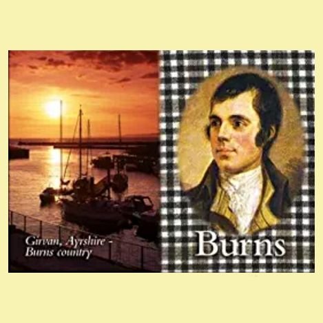 Image 0 of Burns Family Name Picture Fridge Magnets Set of 2