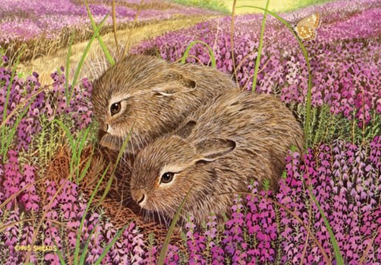 Image 1 of Brown Hare Leverets Animal Themed Maestro Wooden Jigsaw Puzzle 300 Pieces