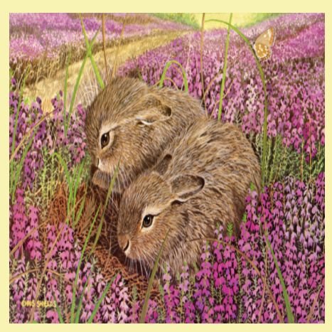Image 0 of Brown Hare Leverets Animal Themed Majestic Wooden Jigsaw Puzzle 1500 Pieces