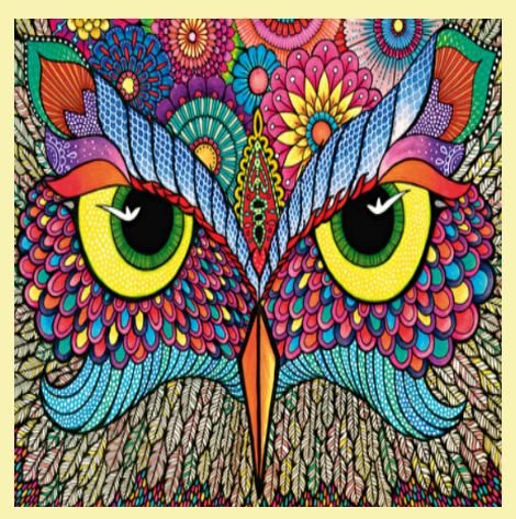Image 0 of Its A Hoot Difficult Themed Maestro Wooden Jigsaw Puzzle 300 Pieces