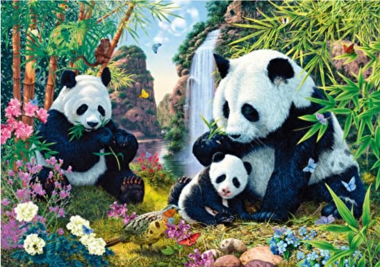 Image 1 of Panda Valley Animal Themed Maxi Wooden Jigsaw Puzzle 250 Pieces