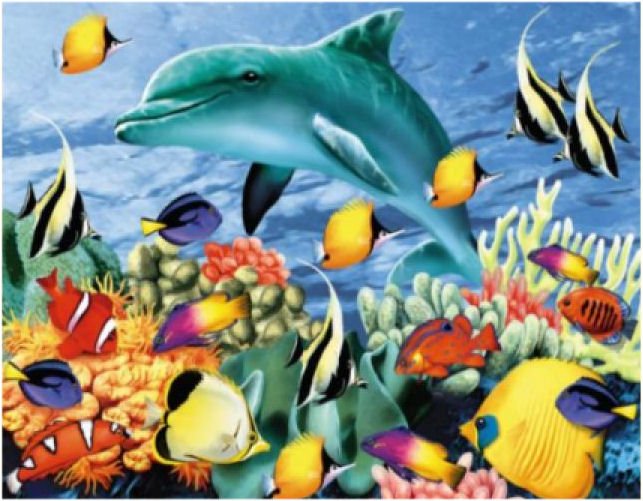 Image 1 of Something Fishy Animal Themed Mega Wooden Jigsaw Puzzle 500 Pieces