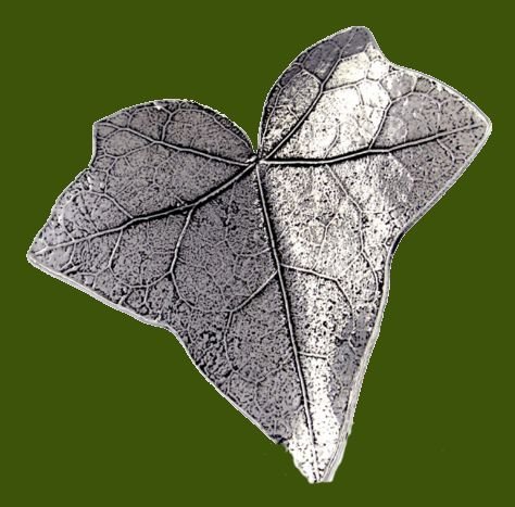 Image 0 of Ivy Leaf Detailed Antiqued Stylish Pewter Brooch